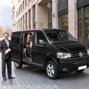 Indywidualny transfer Lotnisko ORLY - Disneyland