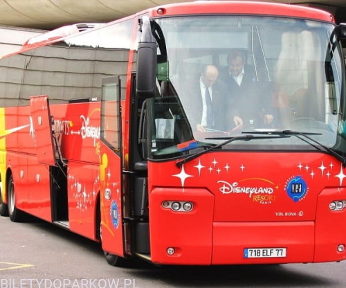 bilet Disneyland + Transfer.jpg