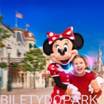 BILET DISNEYLAND 2 DNI - 2 PARKI