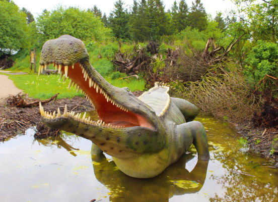 Marzysz o prawdziwej przygodzie? Wybierz bilety do safari ZOO i przekonaj się, dlaczego warto podróżować!